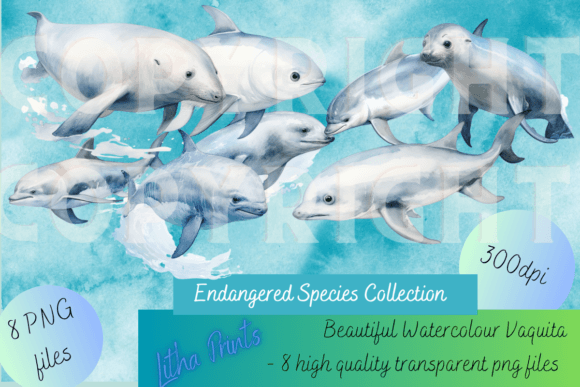 Download Watercolour Vaquita - Premium Resources